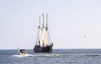 _MG_4345