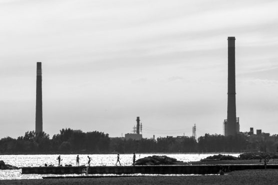 _MG_4854