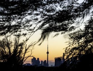 _MG_4981