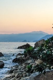 IMG_20171119_0829285