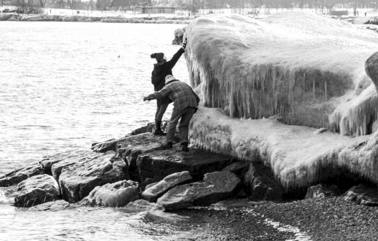 2019-02-19 Woodbine Beach Creatures of Ice-13-11
