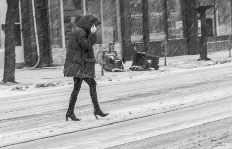 _MG_0229